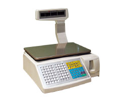 BCS-100�����