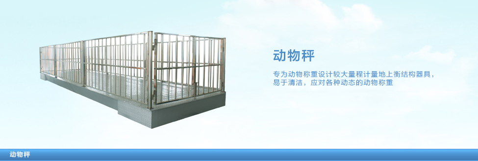 带围栏动物地磅