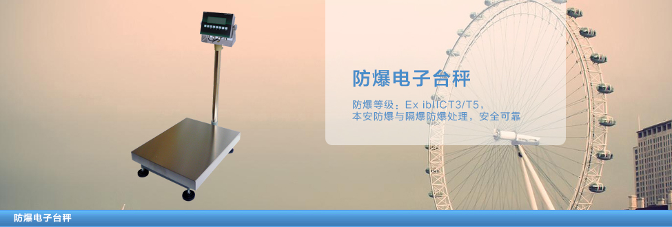 防爆台秤